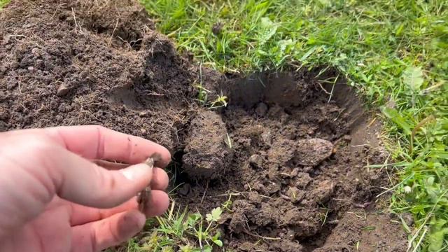 A Hand Grenade And The Detecting Drought Continues 😢