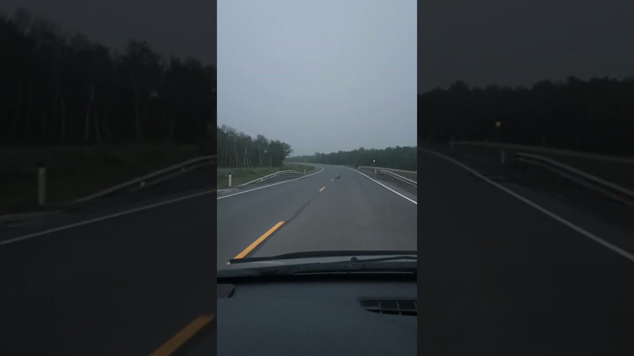 Дорога Заполярный Мурманск 31.07.2023г 5 смотреть онлайн