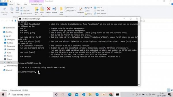 Install Node.Js and setup Node Version Manager(nvm)