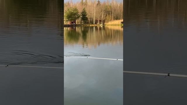 Рыбалка в Лепсари