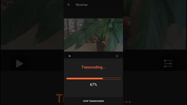How To Reverse Video In VideoShow