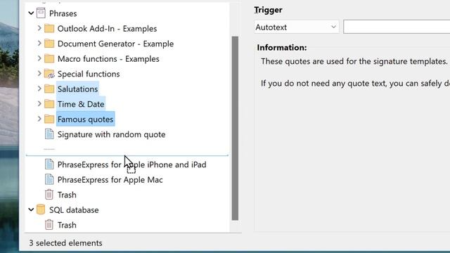 Using the text expander PhraseExpress v16 with a SQL Server смотреть онлайн