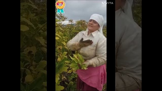 12 сентября 2023 г. смотреть онлайн