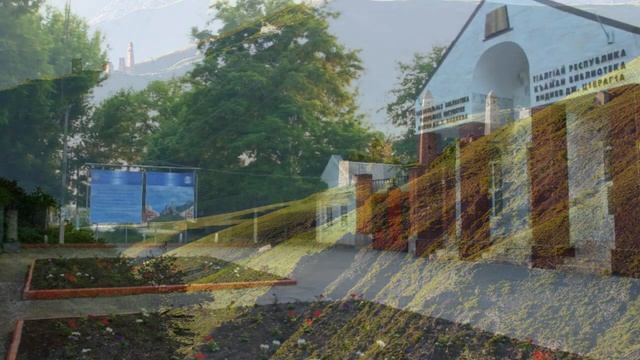 город Сунжа Ингушетия смотреть онлайн