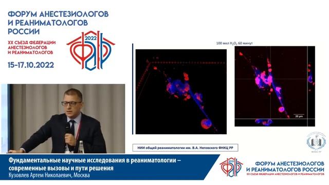 Фундаментальная наука в АиР Кузовлев А.Н. смотреть онлайн