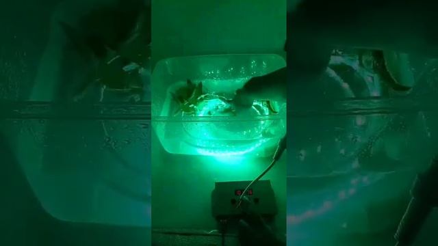 Ip68 waterproof Pixel led tape смотреть онлайн