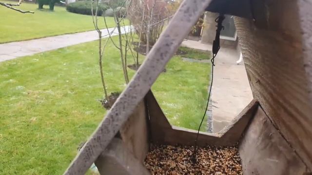 Кормушка для птиц... смотреть онлайн