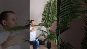 Пальма искусственная Хризалидокарпус 180 и 200 см.| КАК ЖИВАЯ