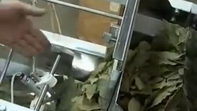Фасовка лаврового листа на дозаторе НОТИС: Архив 2003 год смотреть онлайн