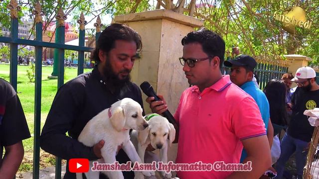 Kutta Dogs Market Saddar Karachi 19-2-2023 | German Shepherd, Pitbull Dogs, husky, Pug Dogs смотреть онлайн