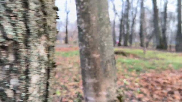 Основная камера Xiaomi 12T FullHD 60 FPS + gyro-EIS смотреть онлайн