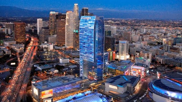 Iphone попугай. Попугай научился петь рингтон iPhone. Так он провожает своего хозяина. смотреть онлайн