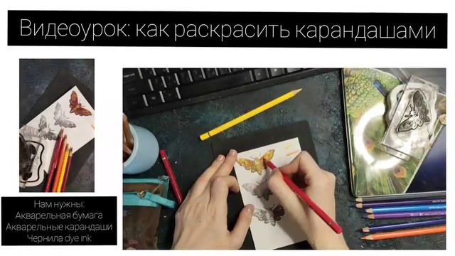 ВИДЕОУРОК по раскрашиванию штампового оттиска / Штампинг смотреть онлайн