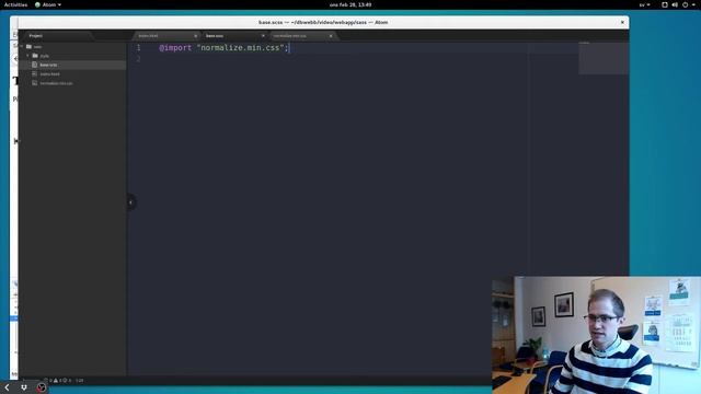 SASS Import смотреть онлайн