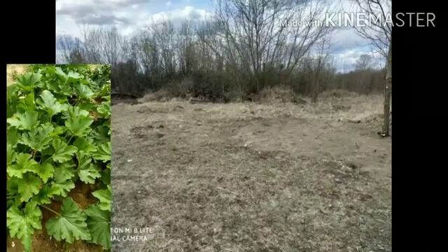 История дачи) смотреть онлайн