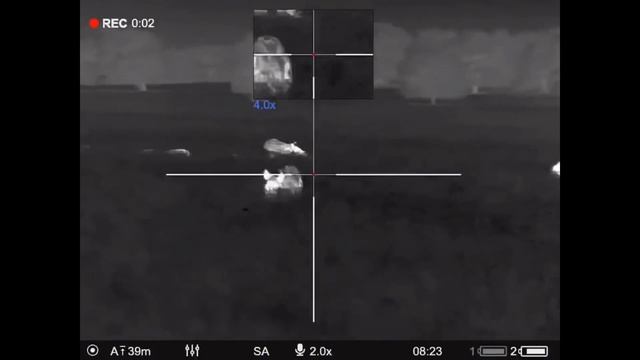 Farmer Finds Hogs Destroying his Silage смотреть онлайн