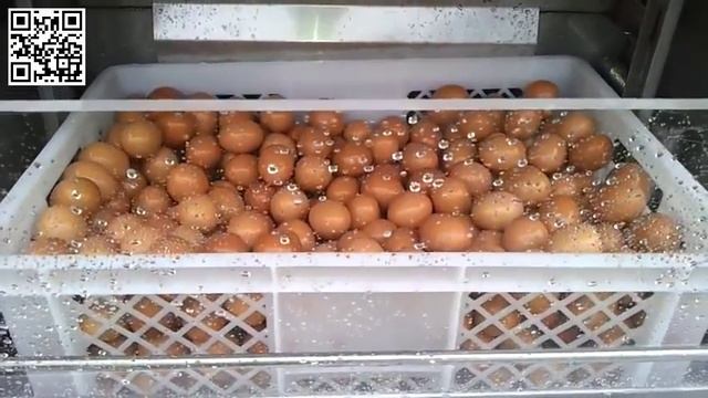 Мойка для яиц (Bubble Egg Washer) 2 смотреть онлайн