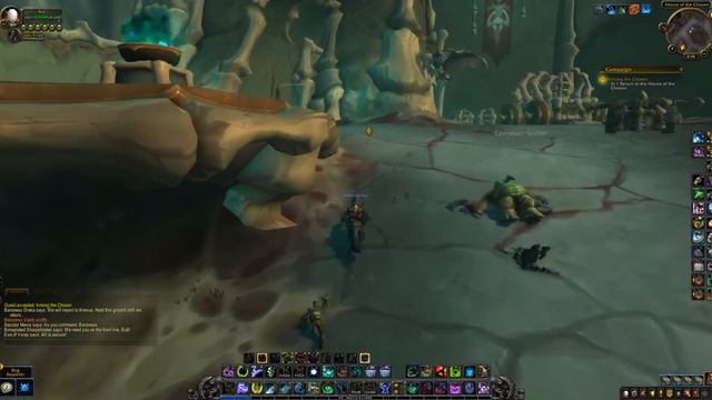 Among the Chosen, WoW Shadowlands Quest смотреть онлайн