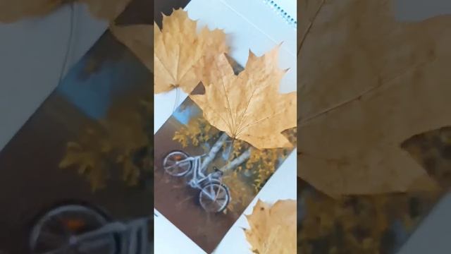 Атмосфера осени? #блогер #art #autumn #picture #anna смотреть онлайн