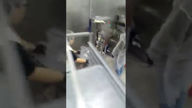 пельменный аппарат АП 100