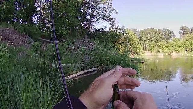 Река Хопер в поисках крупного головля смотреть онлайн