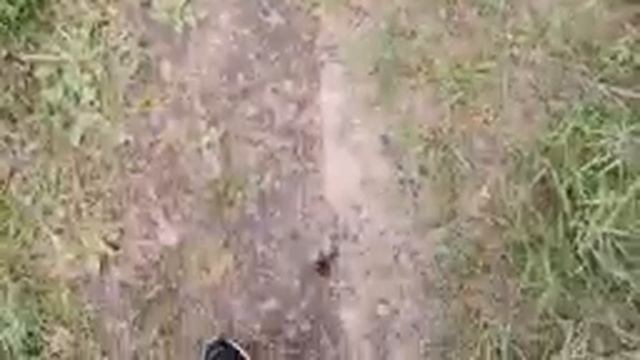 Виктор Корнеплод отдыхает в Мексике | Виктор Корнеплод #6