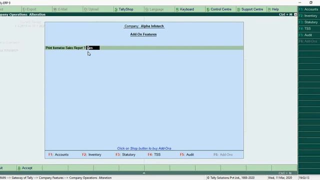 Tally Add On : Print Item wise Sales Report in Tally ERP9 software. смотреть онлайн