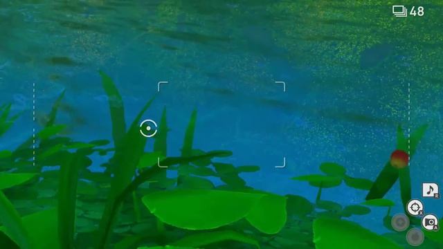 How To Take 3 And 4 Star Photos Of Milotic In New Pokemon Snap смотреть онлайн