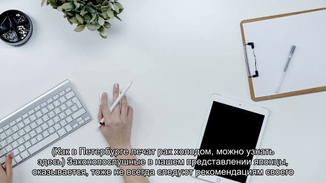 Японские хирурги учили петербургских врачей, как оперировать рак смотреть онлайн