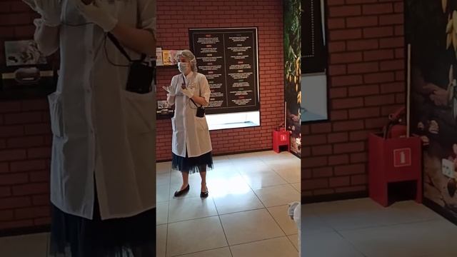 Шоколадная фабрика им. Самойловой. Санкт-петербург.Про какао-бобы смотреть онлайн