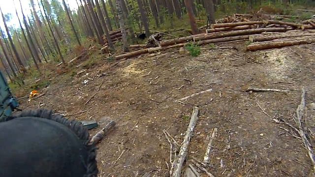 Сулзатское лесничество Томская область смотреть онлайн