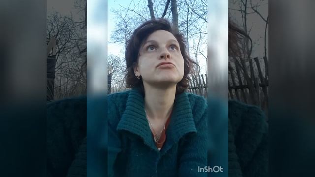 Мох в саду смотреть онлайн