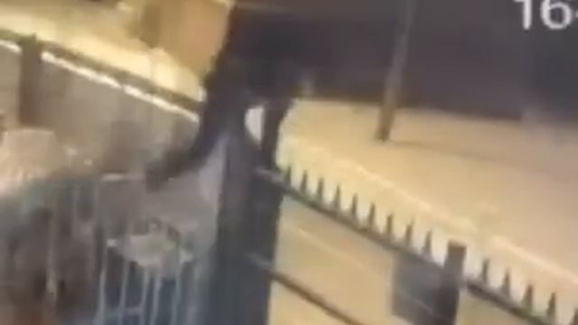 Грабитель лезет через забор и застревает. 1 смотреть онлайн