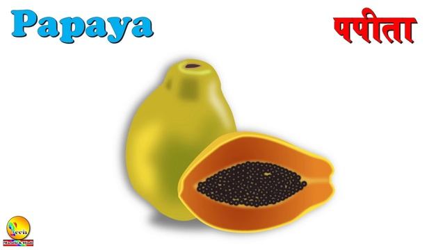 Fruit Names In english and hindi with pdf | फलों के नाम हिन्दी एवं अंग्रेजी भाषा में | pdf ke sath смотреть онлайн