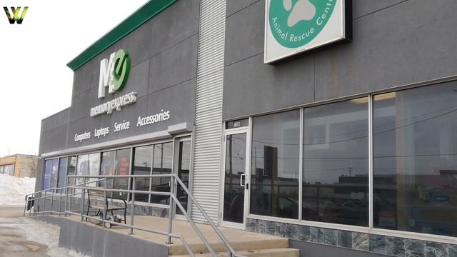 Компьютерный Магазин Мемори Экспресс и Центр Спасения Животных Д’Арсис смотреть онлайн