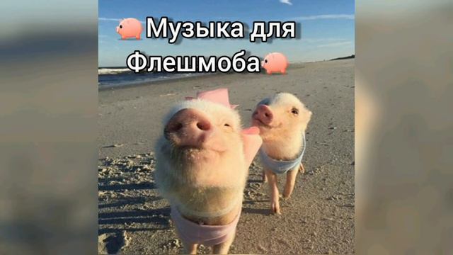🐖ФлЕшМоБ🐖~Заказы~ смотреть онлайн