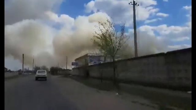 Под Северодонецком в районе Вороново горит лес смотреть онлайн