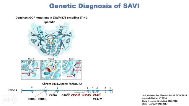 Autoinflammatory Interferonopathies: CANDLE And SAVI