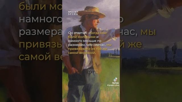 Притча о Слонах

#shorts