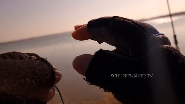 FELCHEN BLEI #maränen #renke #fishing #fliegenfischen #salmos #angeln смотреть онлайн