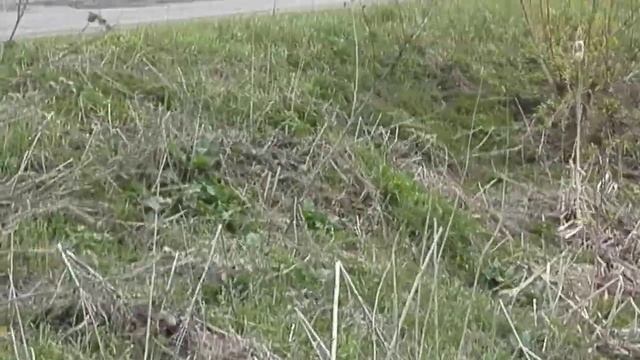 Всё что осталось от р. Прорва