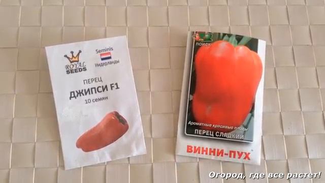 Сорта ПЕРЦА. Много ПЕРЦА с одного куста.mp4 смотреть онлайн