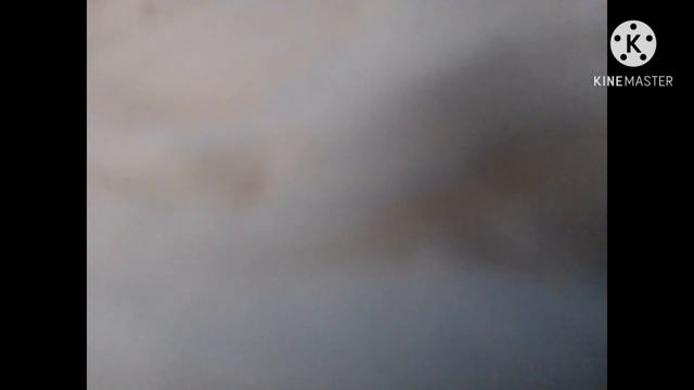 анимация из пластилина новый год смотреть онлайн