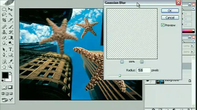 The 60 Adobe Photoshop CS Lessons Video Training DVD смотреть онлайн