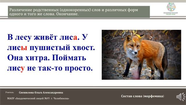 ЧЭШ Русский язык 2 класс Различение однокоренных слов и форм одного и того же слова. Окончание. смотреть онлайн