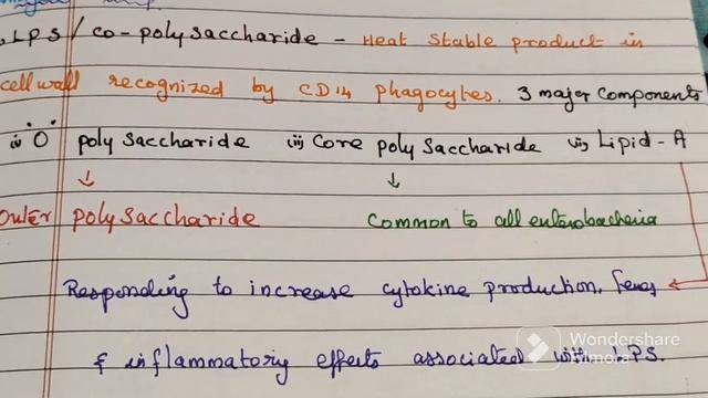 Enterobacteriaceae смотреть онлайн