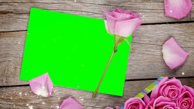 Рамка для слайд-шоу футаж - зеленый фон - рамка 10