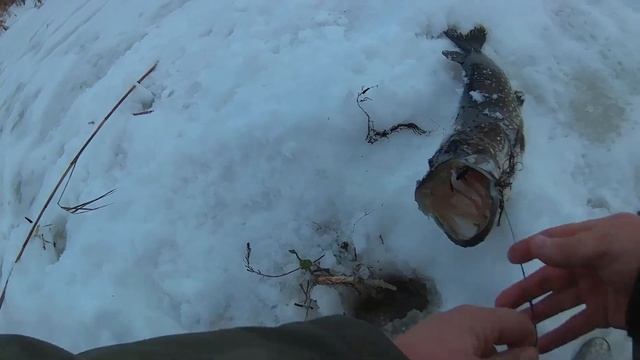 Щука на поставушки в глухозимье, отличный клев. смотреть онлайн