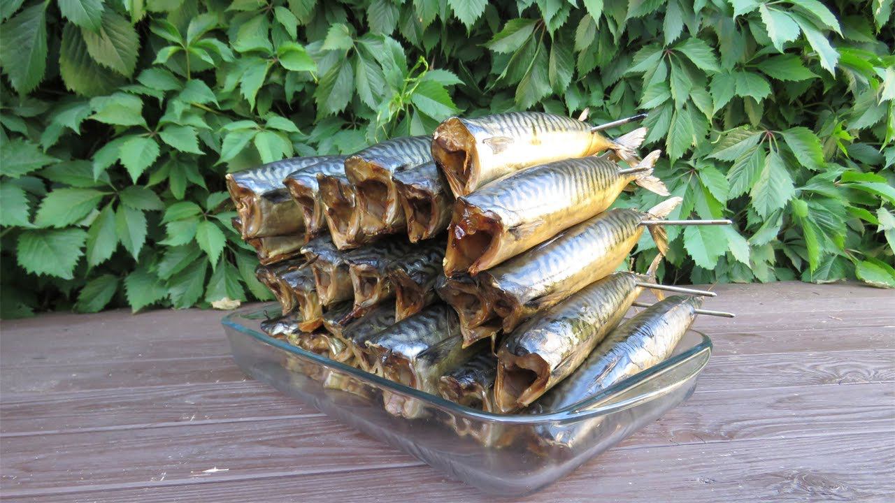 Рецепт скумбрии холодного копчения. смотреть онлайн