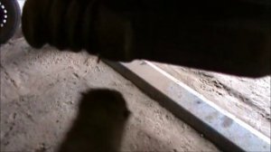 Замена передних тормозных колодок Ланос,Шанс,Сенс,Нексия...